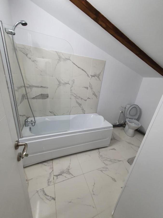 Apartmán Jolie Art Brăila Exteriér fotografie