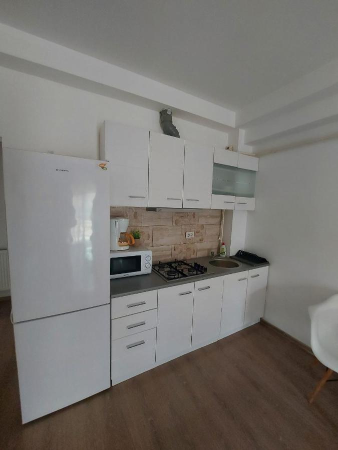 Apartmán Jolie Art Brăila Exteriér fotografie