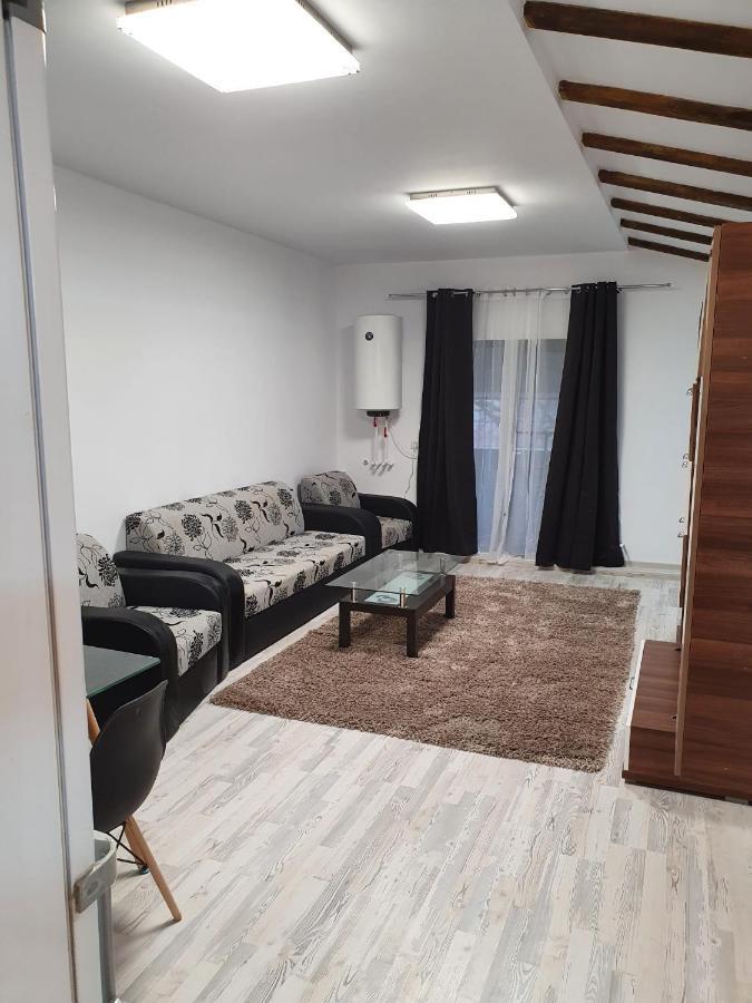 Apartmán Jolie Art Brăila Exteriér fotografie